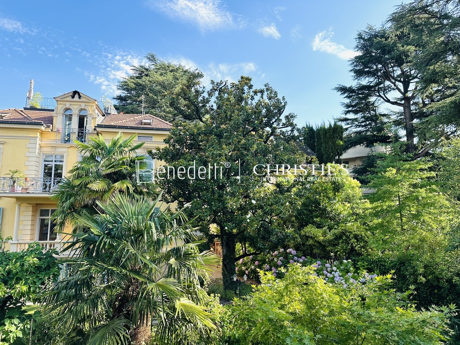 Immagine della proprietà