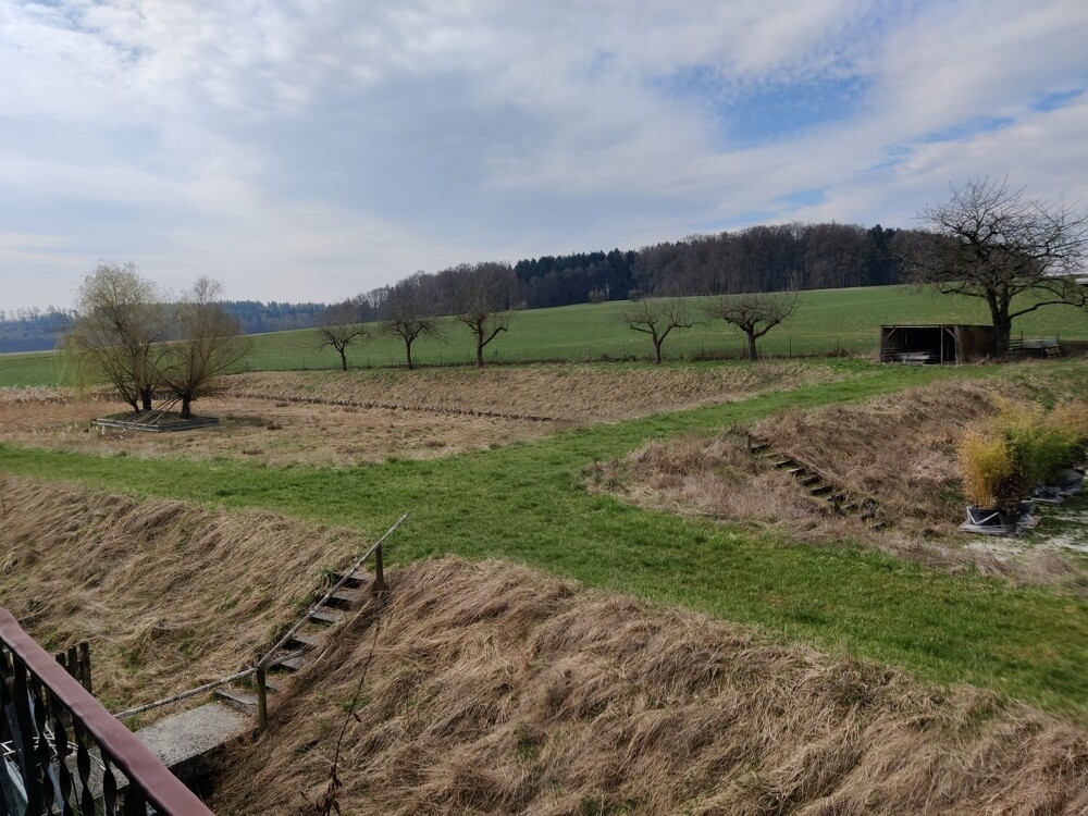 aufgelassen Weiher