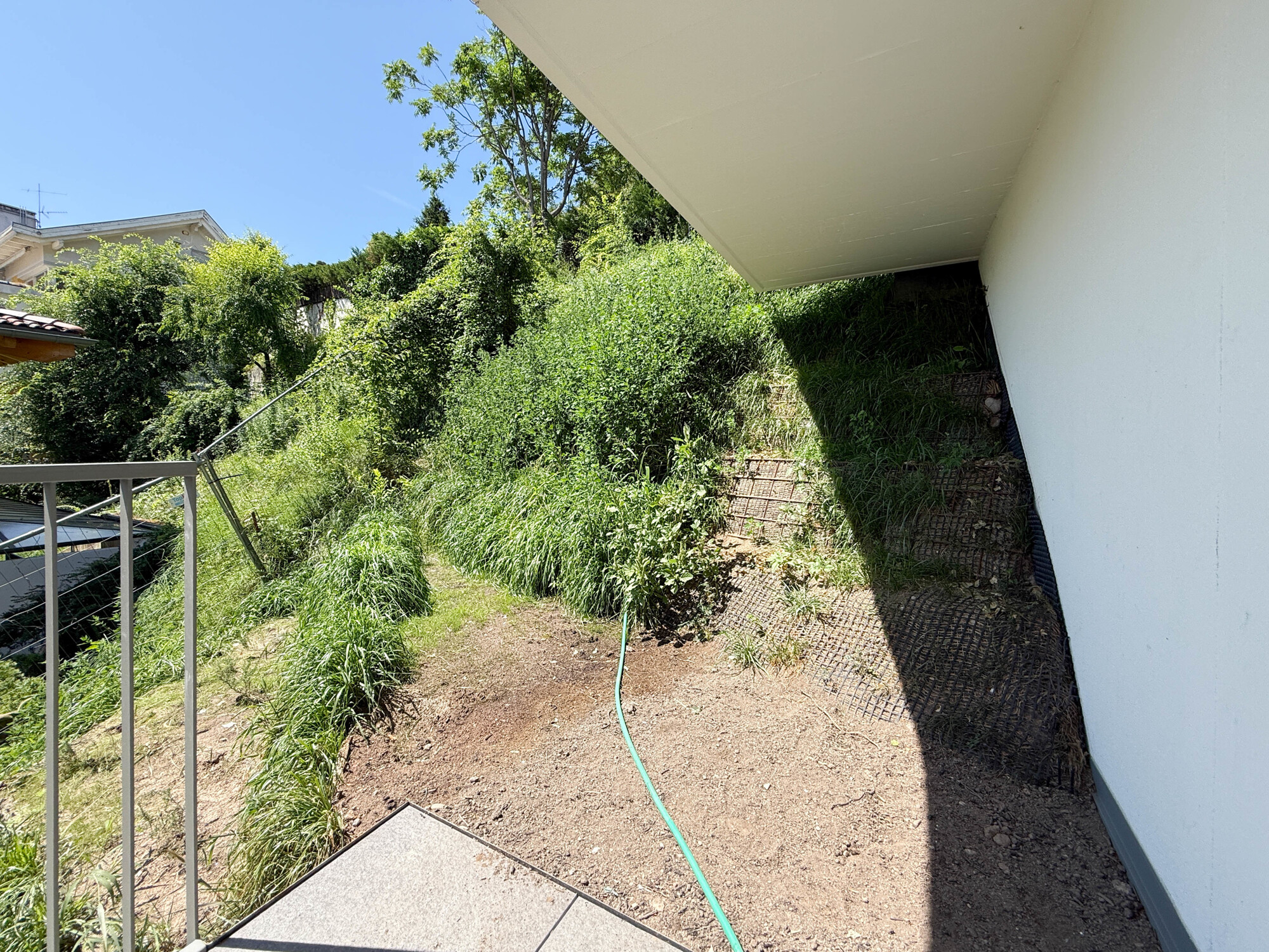 garden/