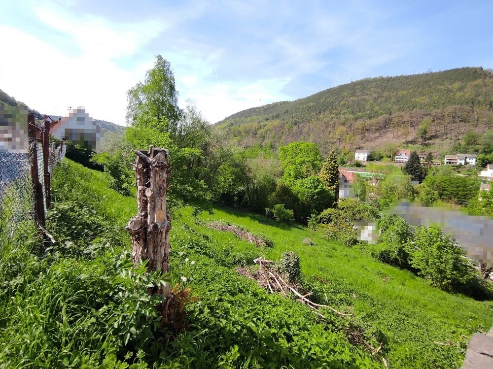 Blick, Seitenansicht