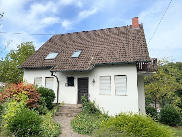 Frontansicht