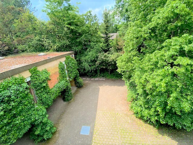 Einfahrt mit Hof, Blick vom Dach
