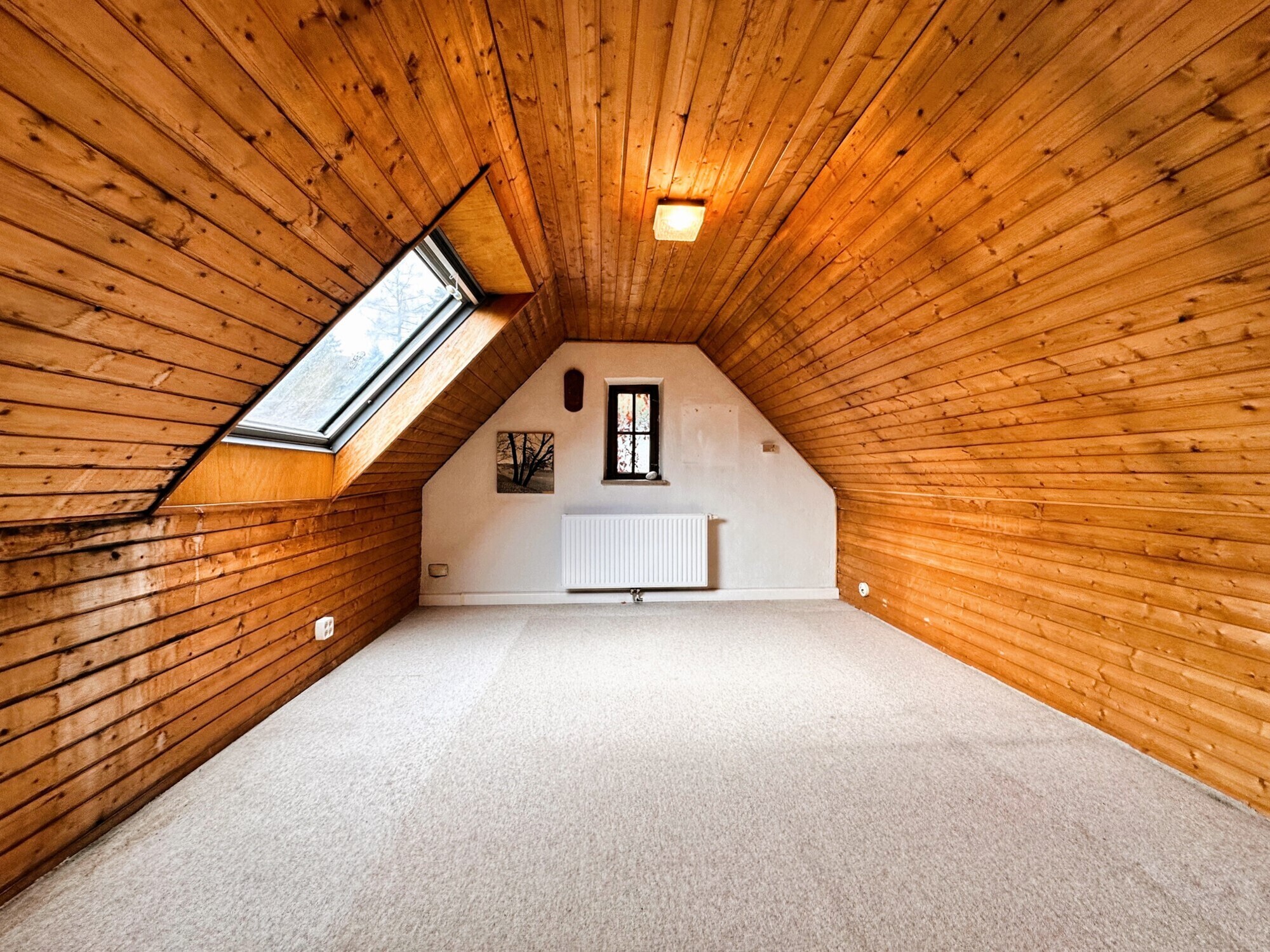 Zimmer DG
