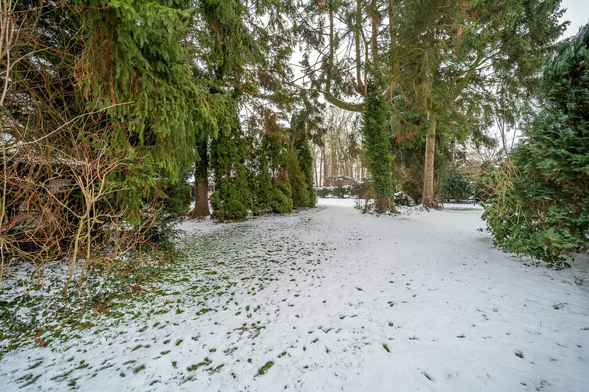 Garten Winter