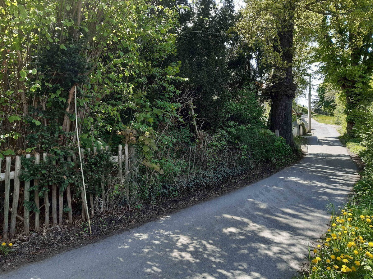 Zufahrtsstraße
