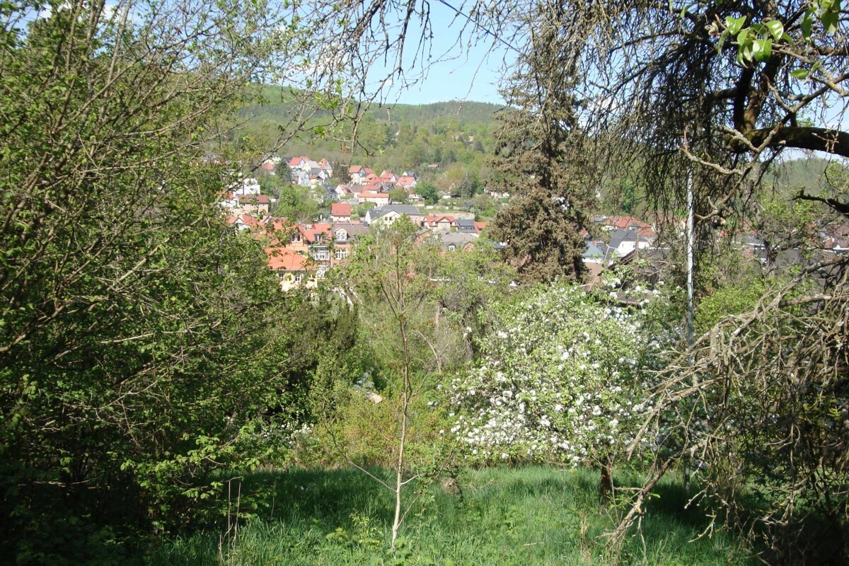 Blick zur Stadt