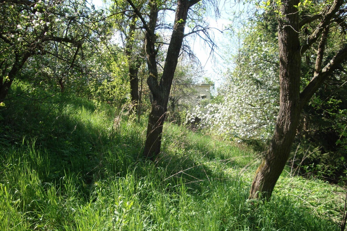Gartenidylle