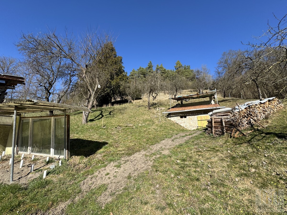 Garten mit Erdkeller und Holzlager