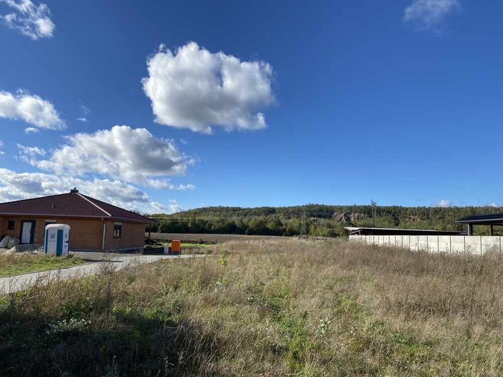 Blick ins Grundstück