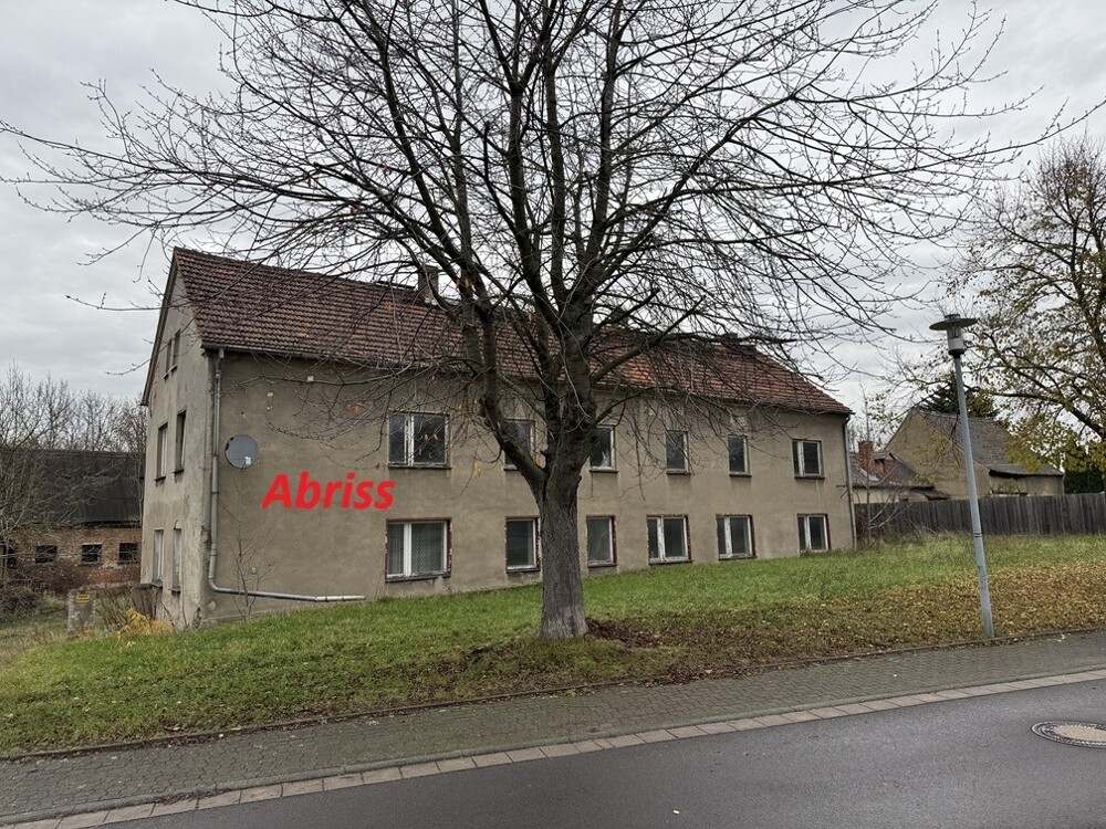 Blick Richtung Grst. 6/3 und 6/4