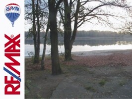 D-Remax-2
