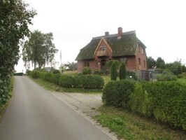 IMG_0877