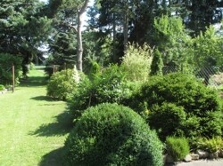 IMG_1038