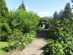 IMG_1042