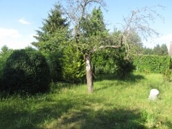 IMG_1021