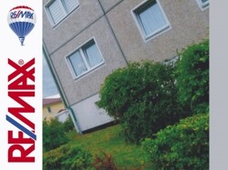 D-Remax-1