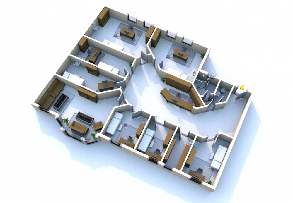 Grundriss der Praxis