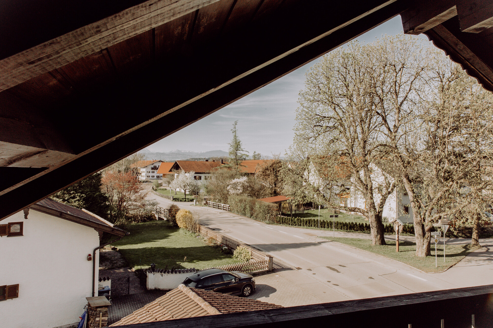 Ausblick