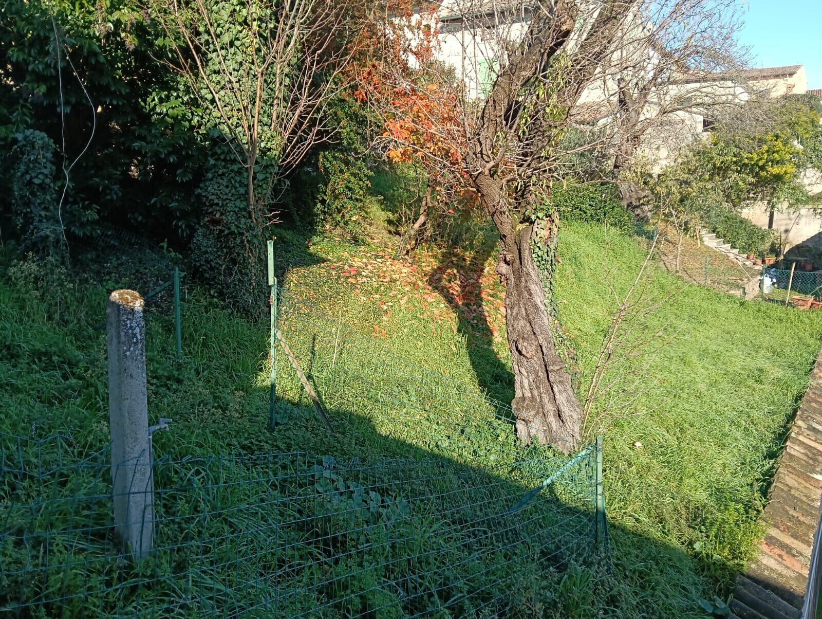 WhatsApp Image 2025-11-11 at 10.14.33