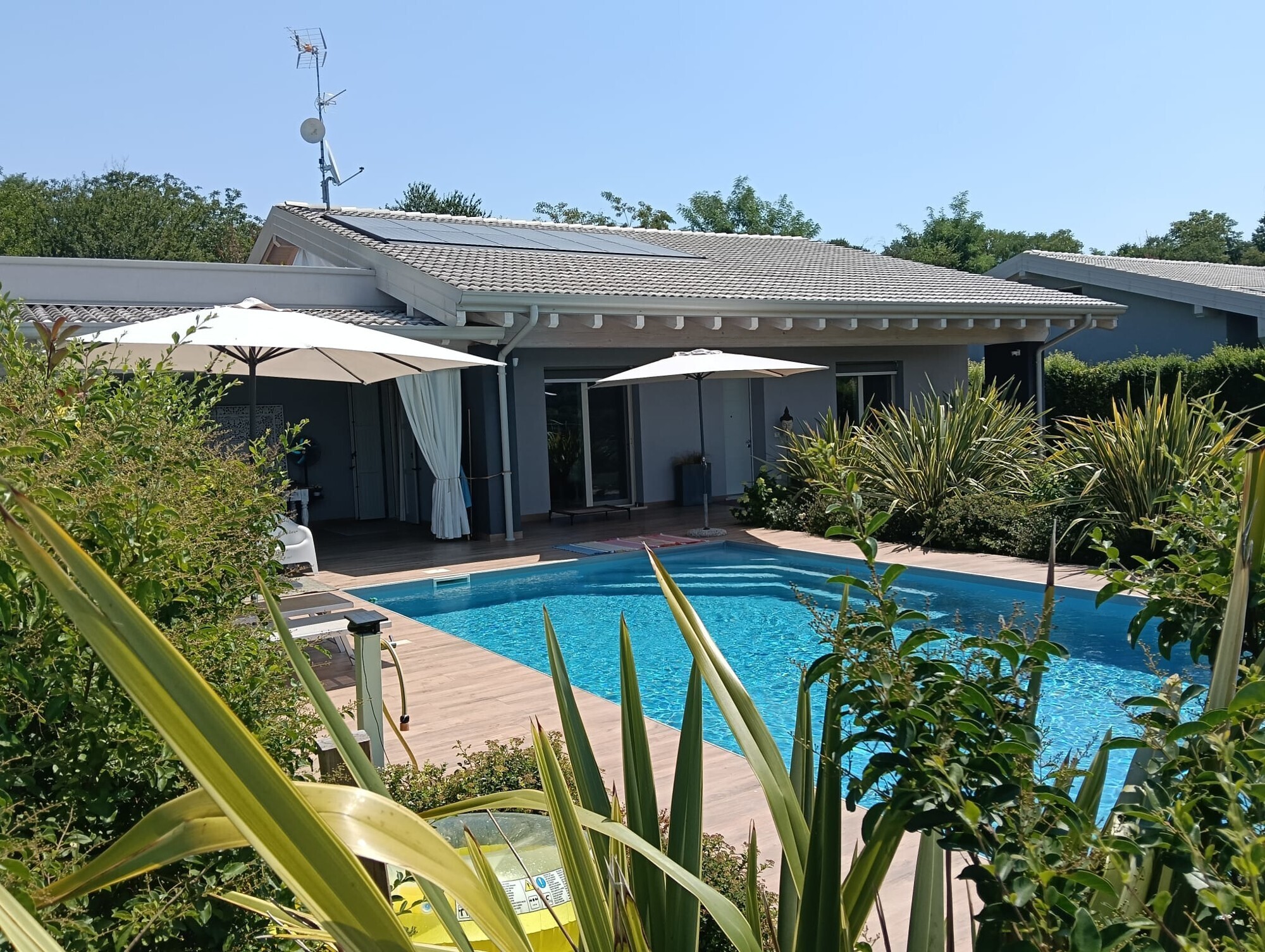 WhatsApp Image 2025-07-07 at 10.00.26