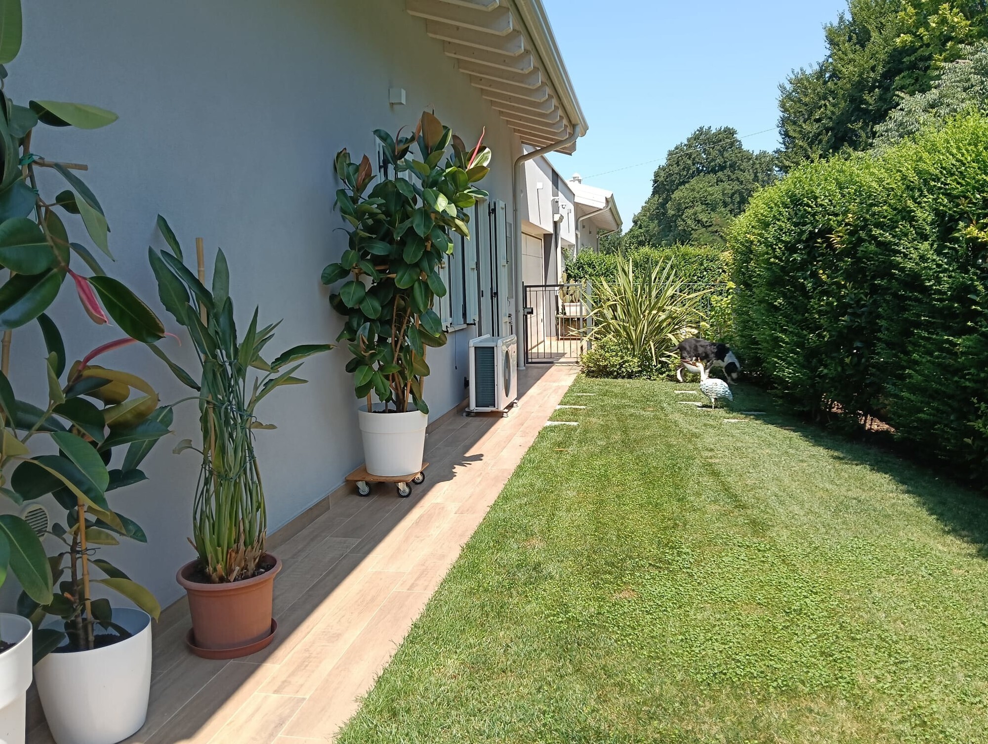 WhatsApp Image 2025-07-07 at 10.00.50