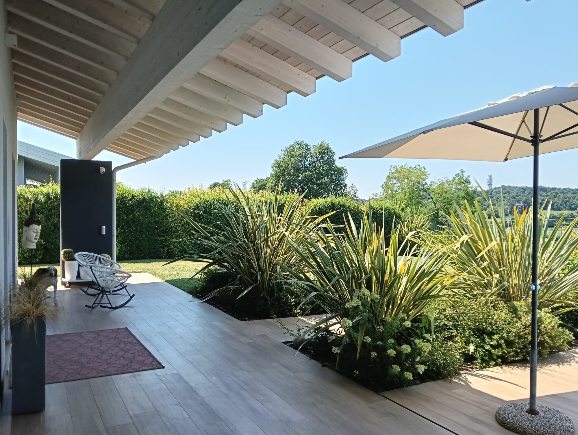 WhatsApp Image 2025-07-07 at 10.01.06