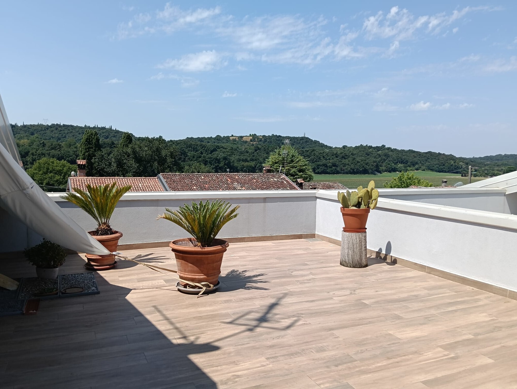 WhatsApp Image 2025-07-07 at 10.00.55 (1)