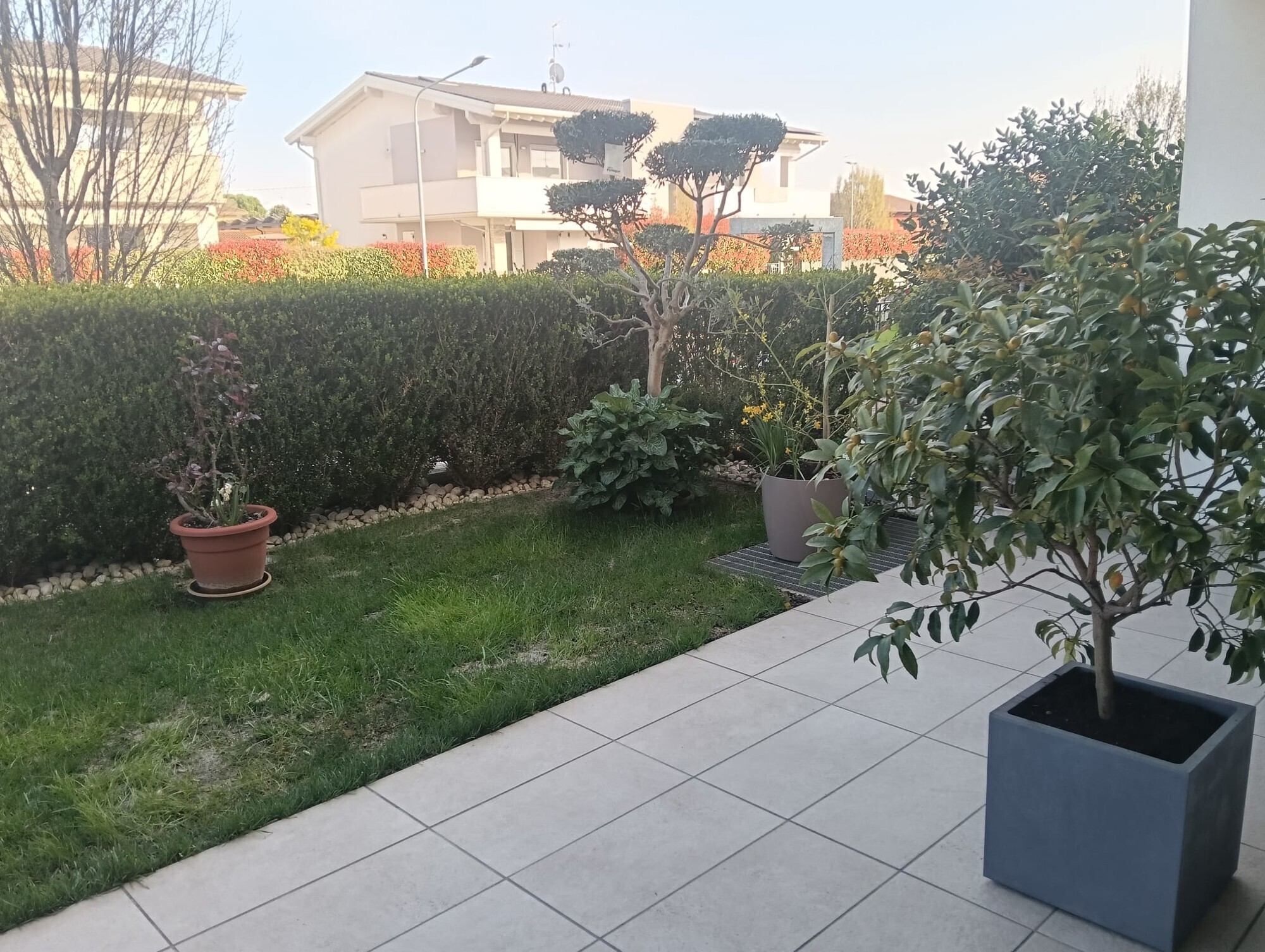 WhatsApp Image 2025-03-21 at 18.34.09