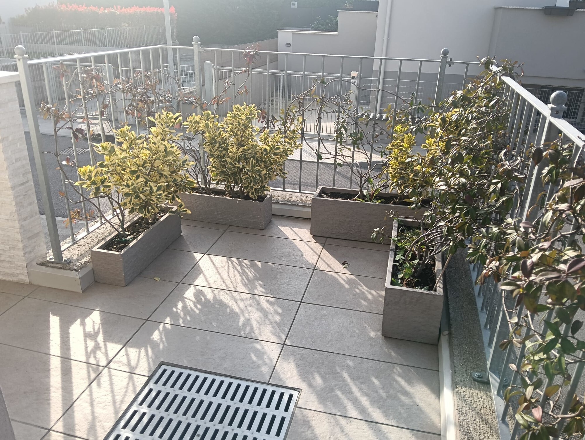 WhatsApp Image 2025-03-21 at 18.34.08