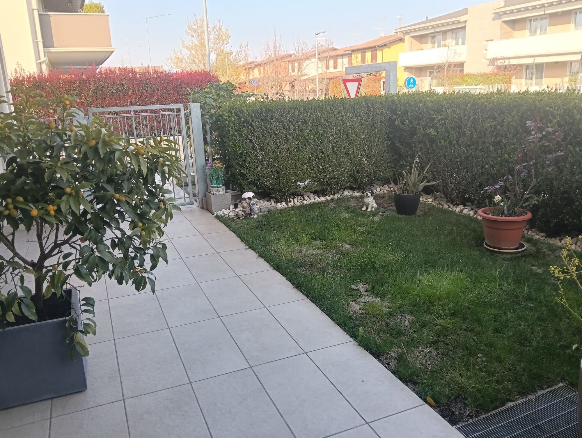 WhatsApp Image 2025-03-21 at 18.34.10