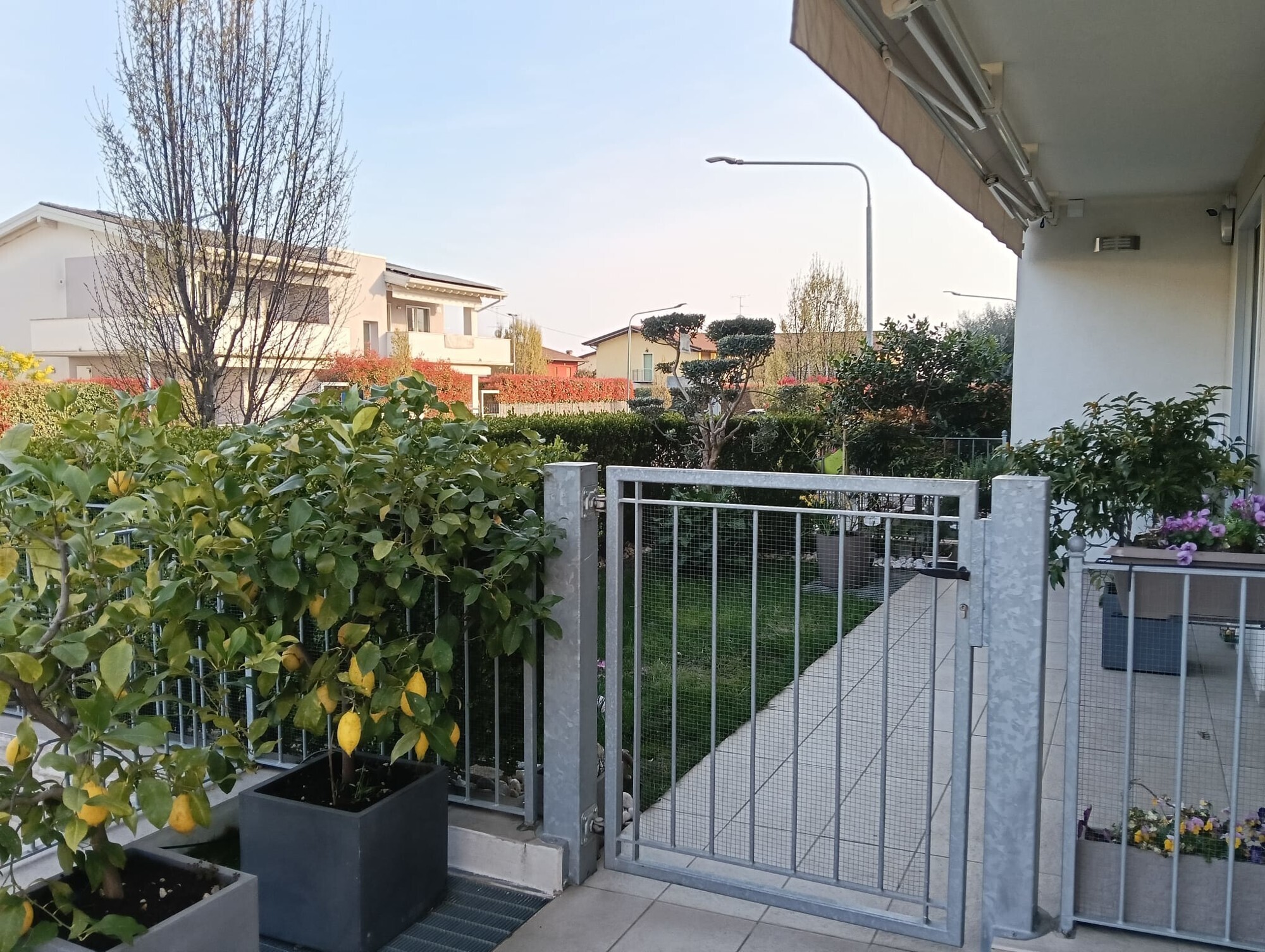 WhatsApp Image 2025-03-21 at 18.34.03