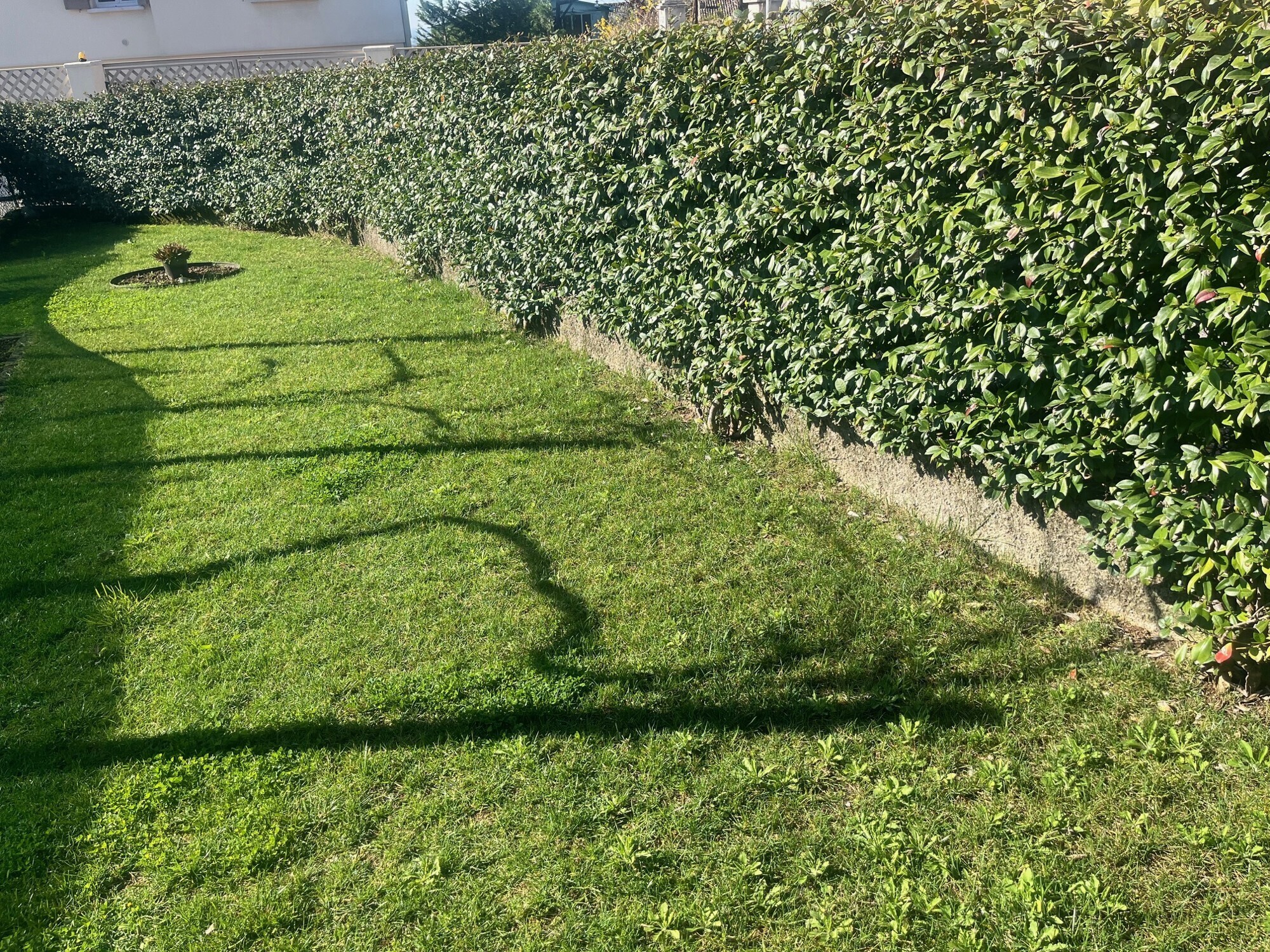 d084240e-1b01-48c6-abda-2e6e7ef5b03b