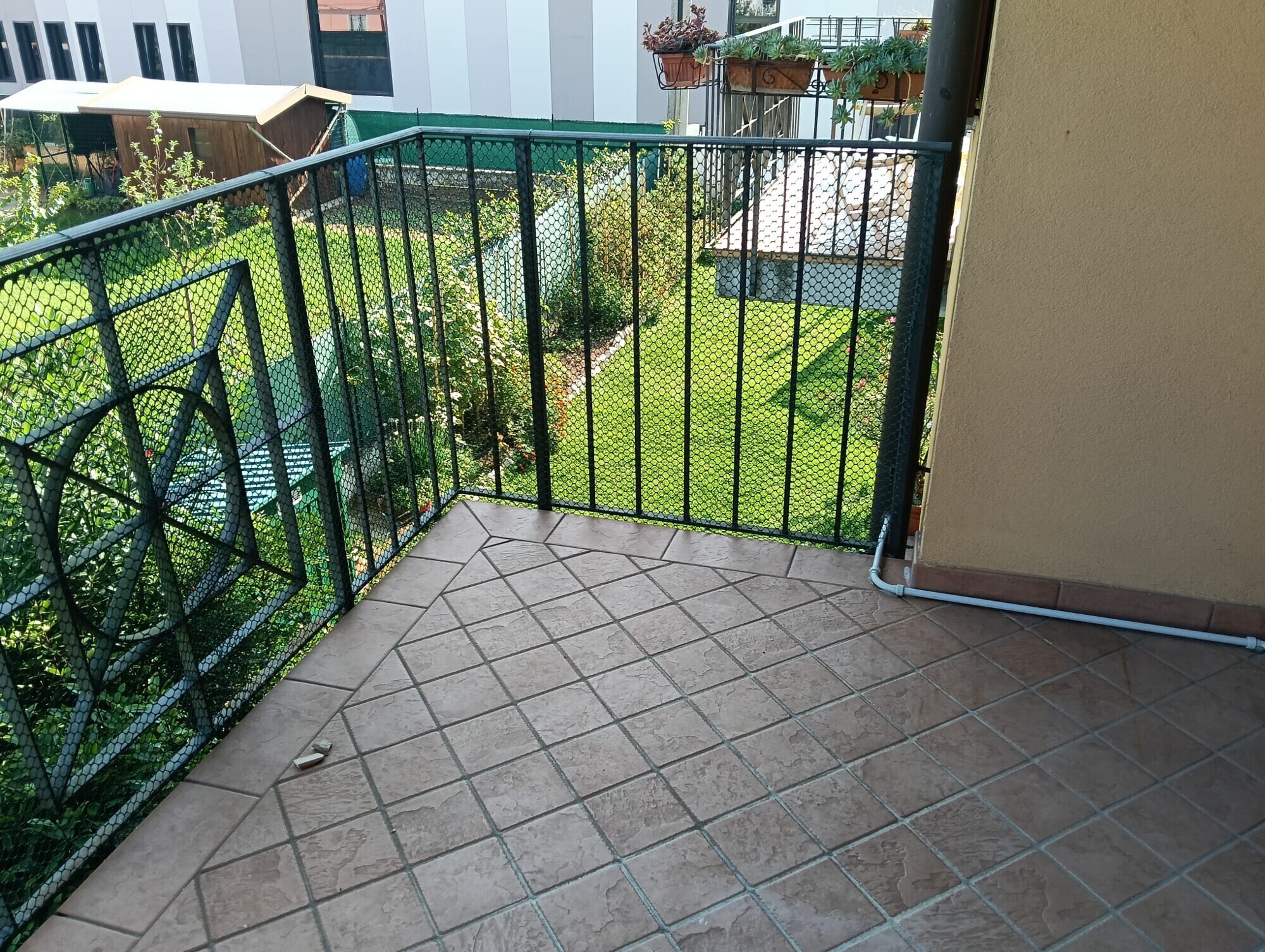 WhatsApp Image 2025-09-05 at 14.59.34 (7)