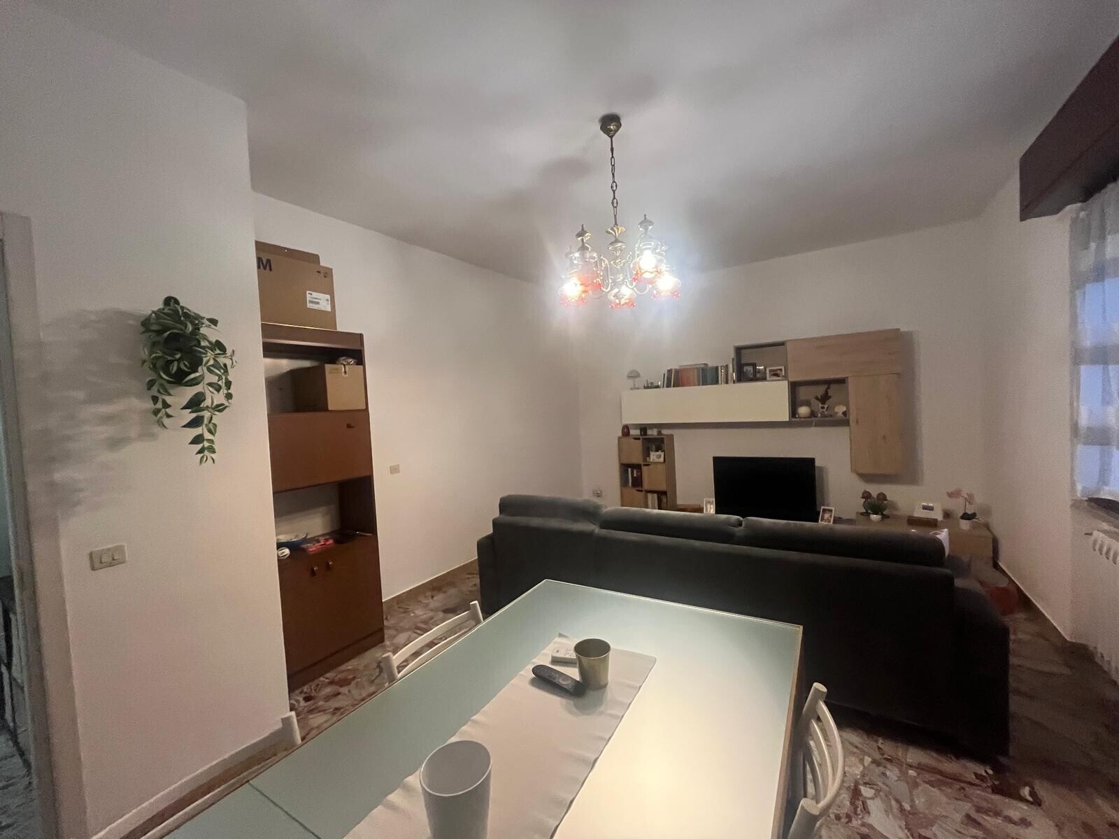 WhatsApp Image 2026-01-12 at 18.12.09