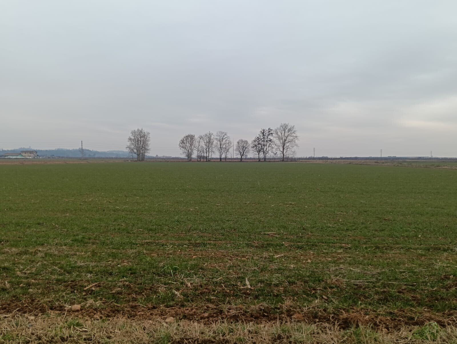 WhatsApp Image 2026-01-16 at 16.20.55 (2)