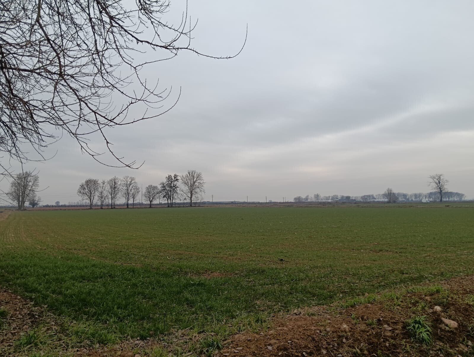 WhatsApp Image 2026-01-16 at 16.20.56 (3)