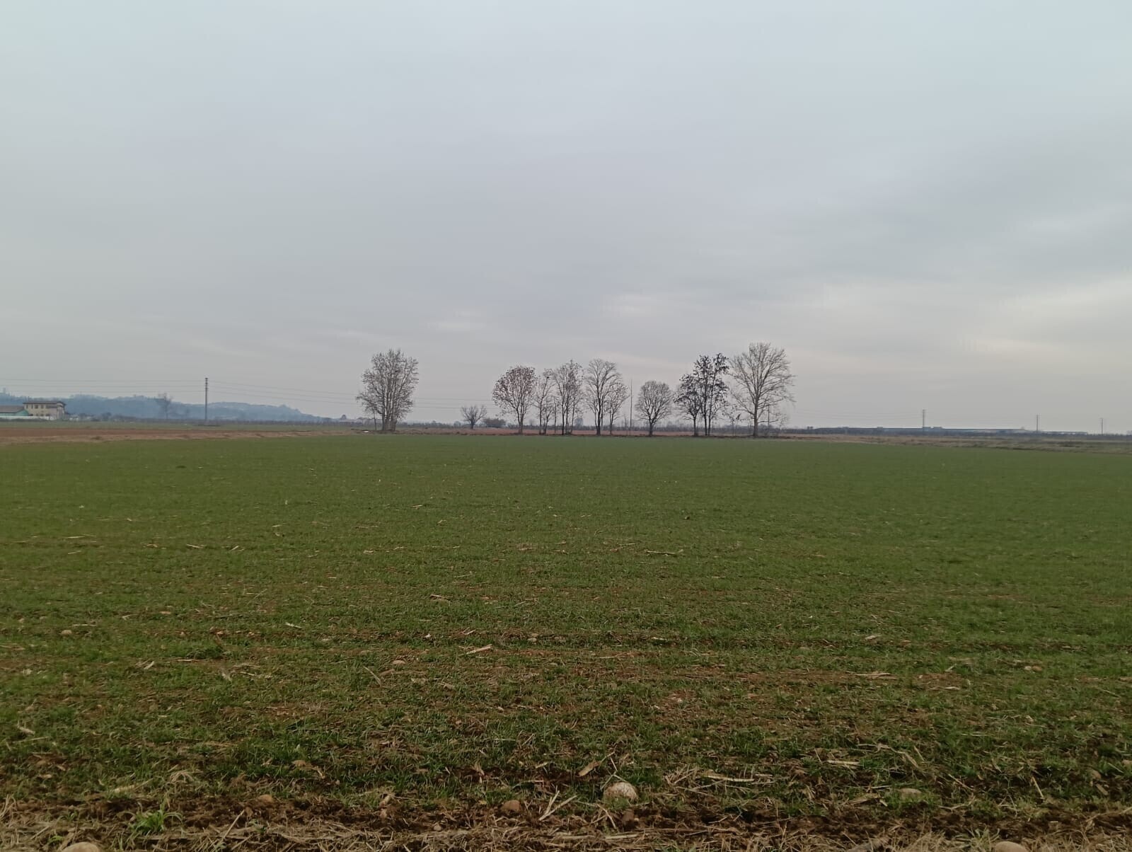 WhatsApp Image 2026-01-16 at 16.20.56