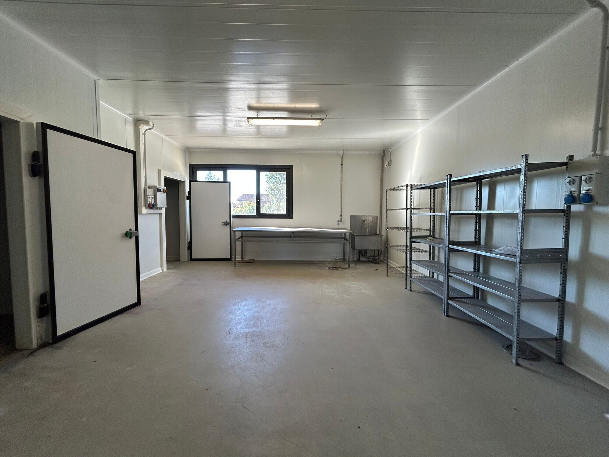 WhatsApp Image 2025-11-12 at 15.03.33 (1)