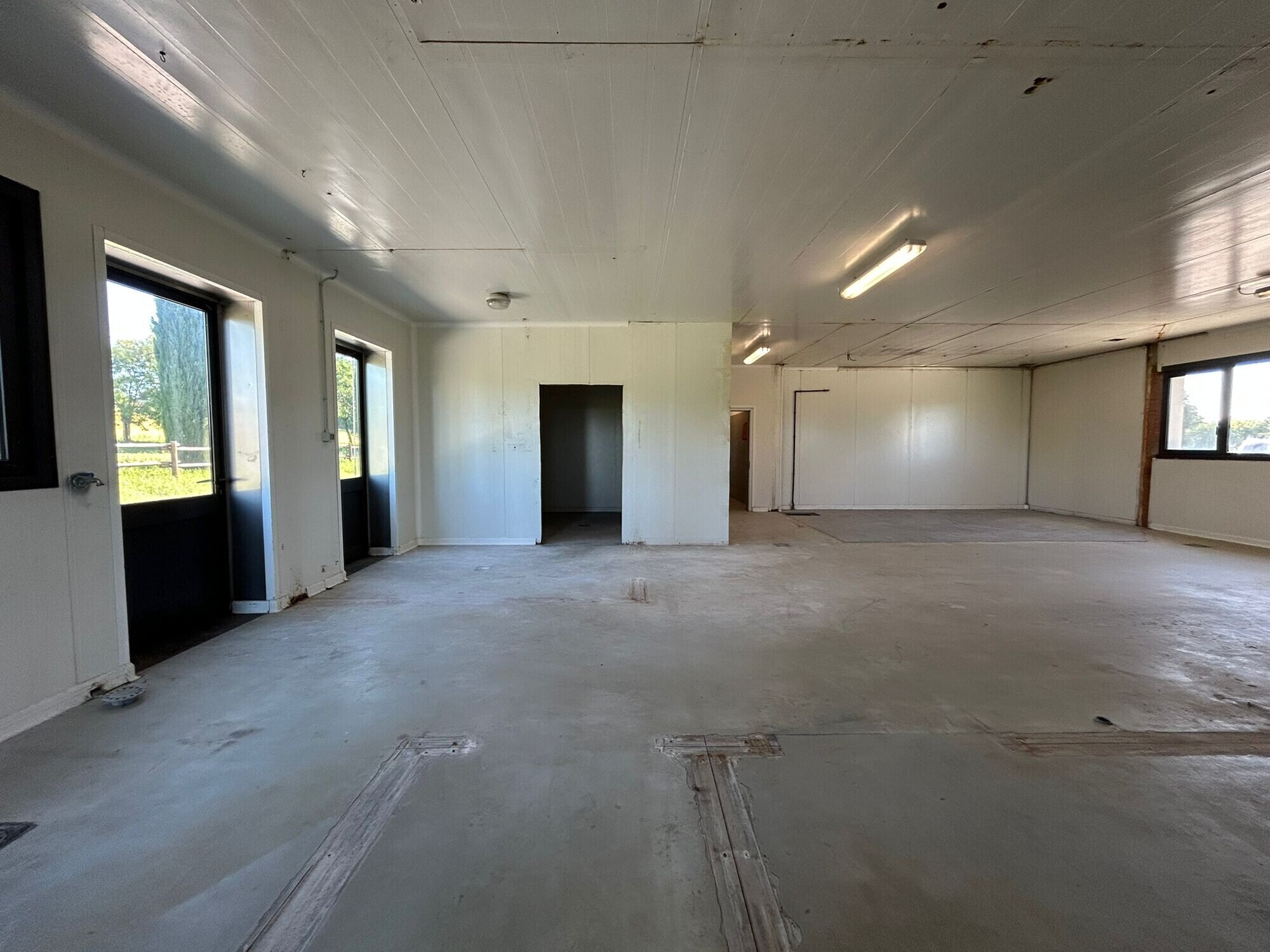 WhatsApp Image 2025-11-12 at 15.03.31 (2)