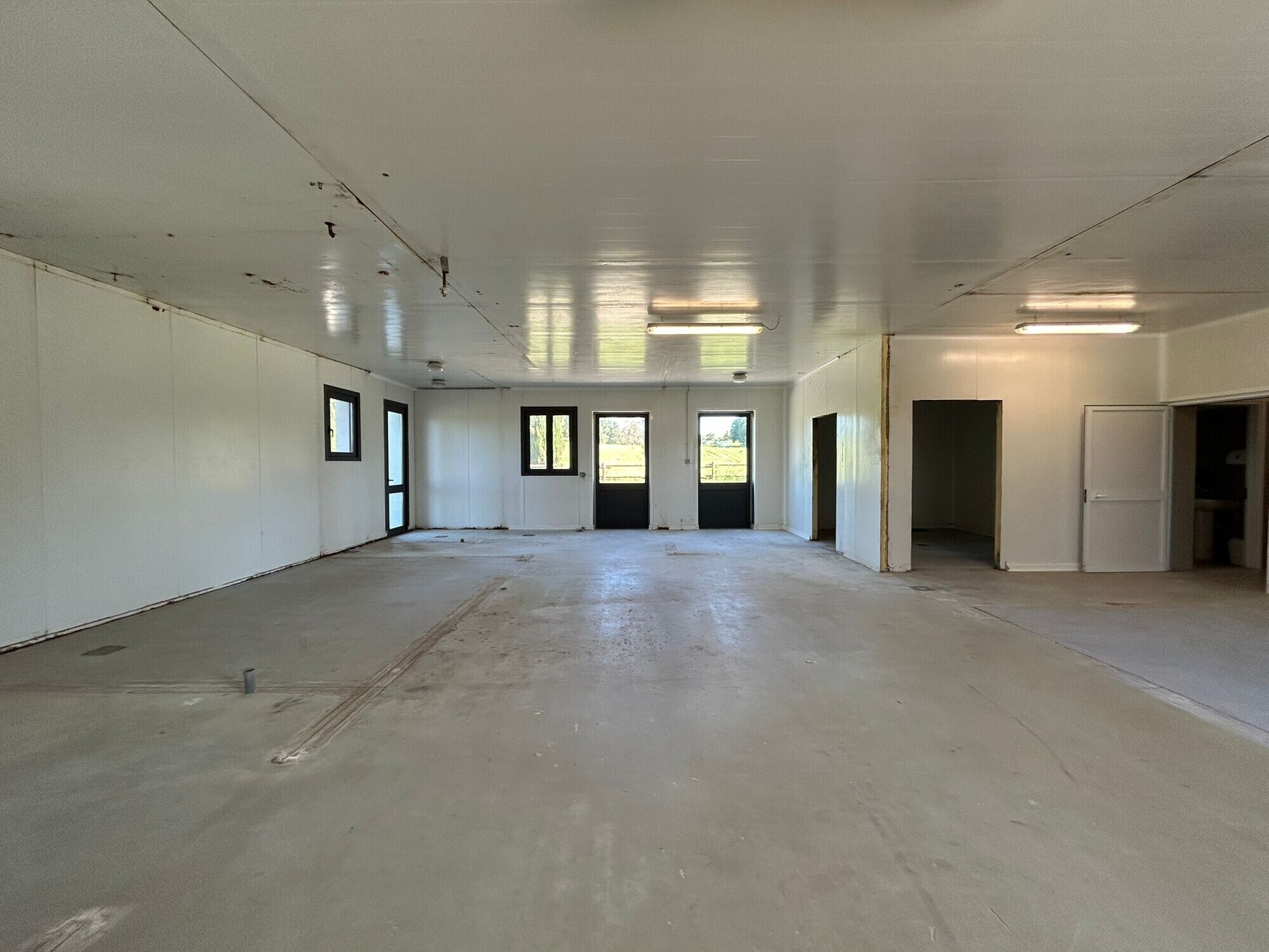 WhatsApp Image 2025-11-12 at 15.03.31 (1)