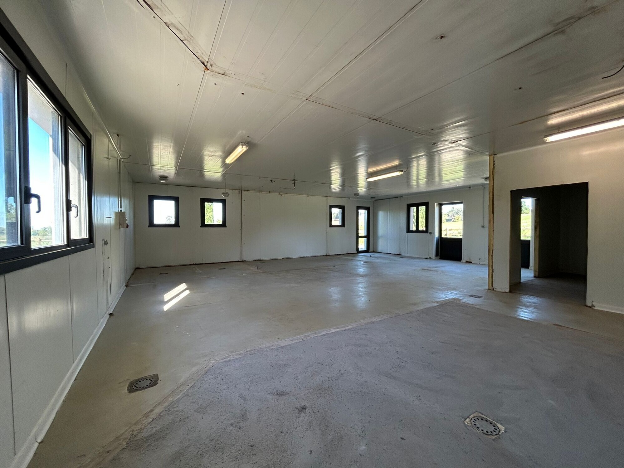 WhatsApp Image 2025-11-12 at 15.03.31