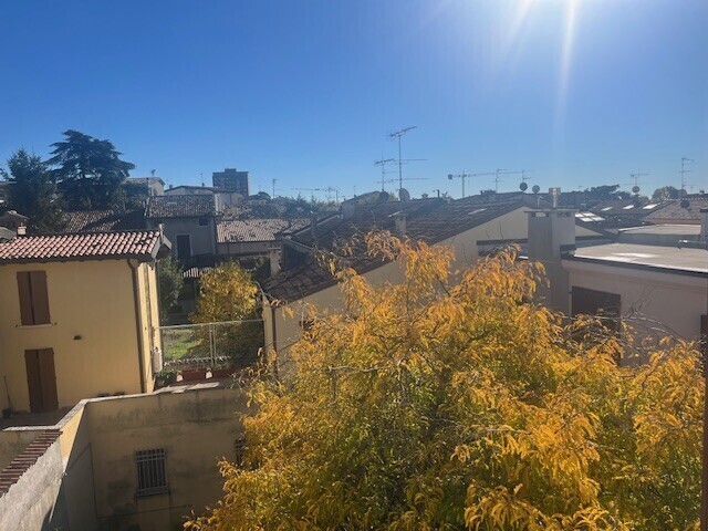 vista molinnari