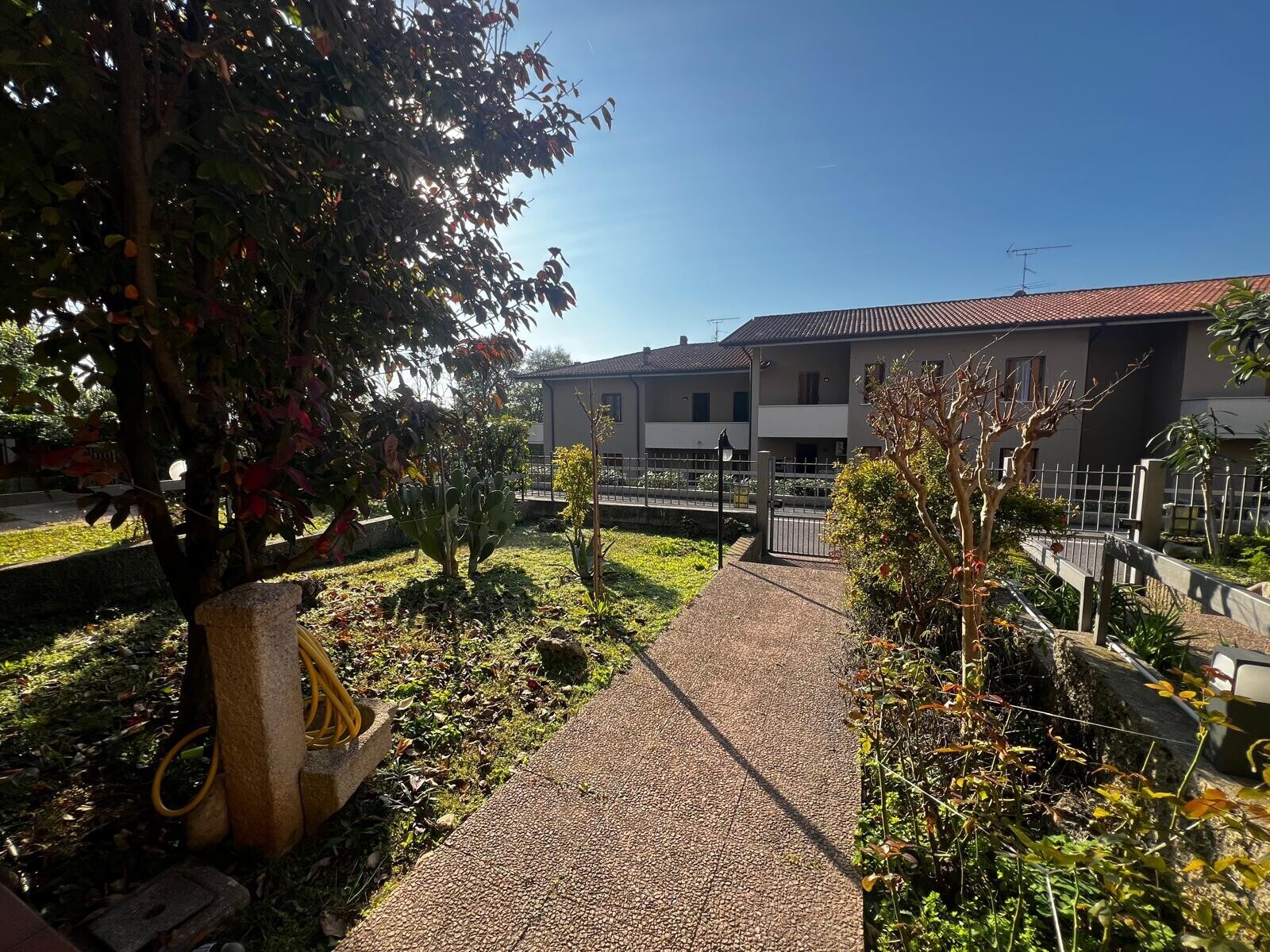 WhatsApp Image 2025-11-12 at 16.53.06 (1)