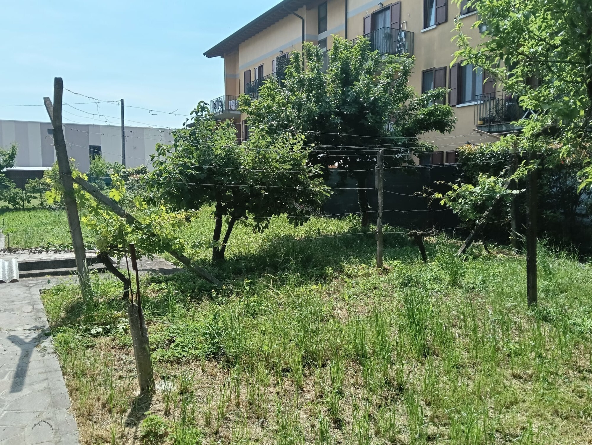 WhatsApp Image 2025-05-28 at 11.37.52