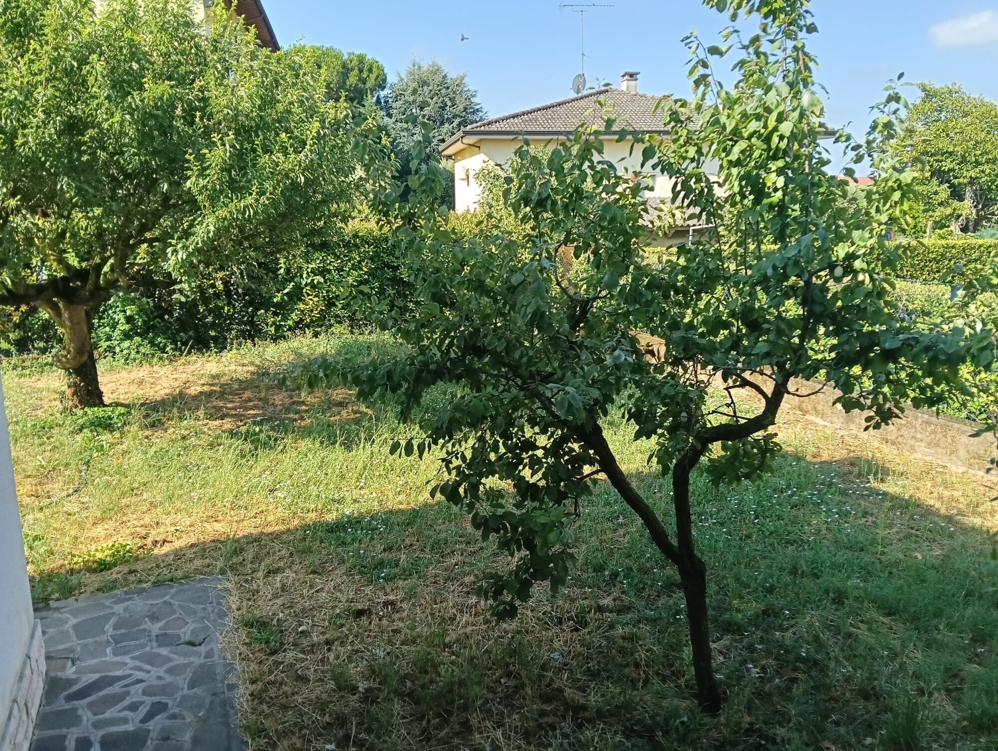 WhatsApp Image 2025-07-07 at 09.57.00 (1)