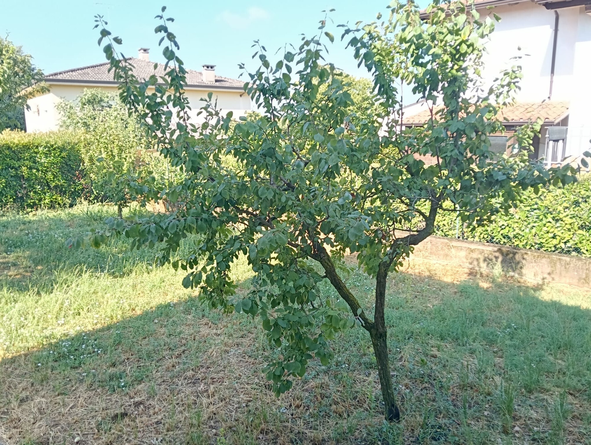 WhatsApp Image 2025-07-07 at 09.57.00 (19)