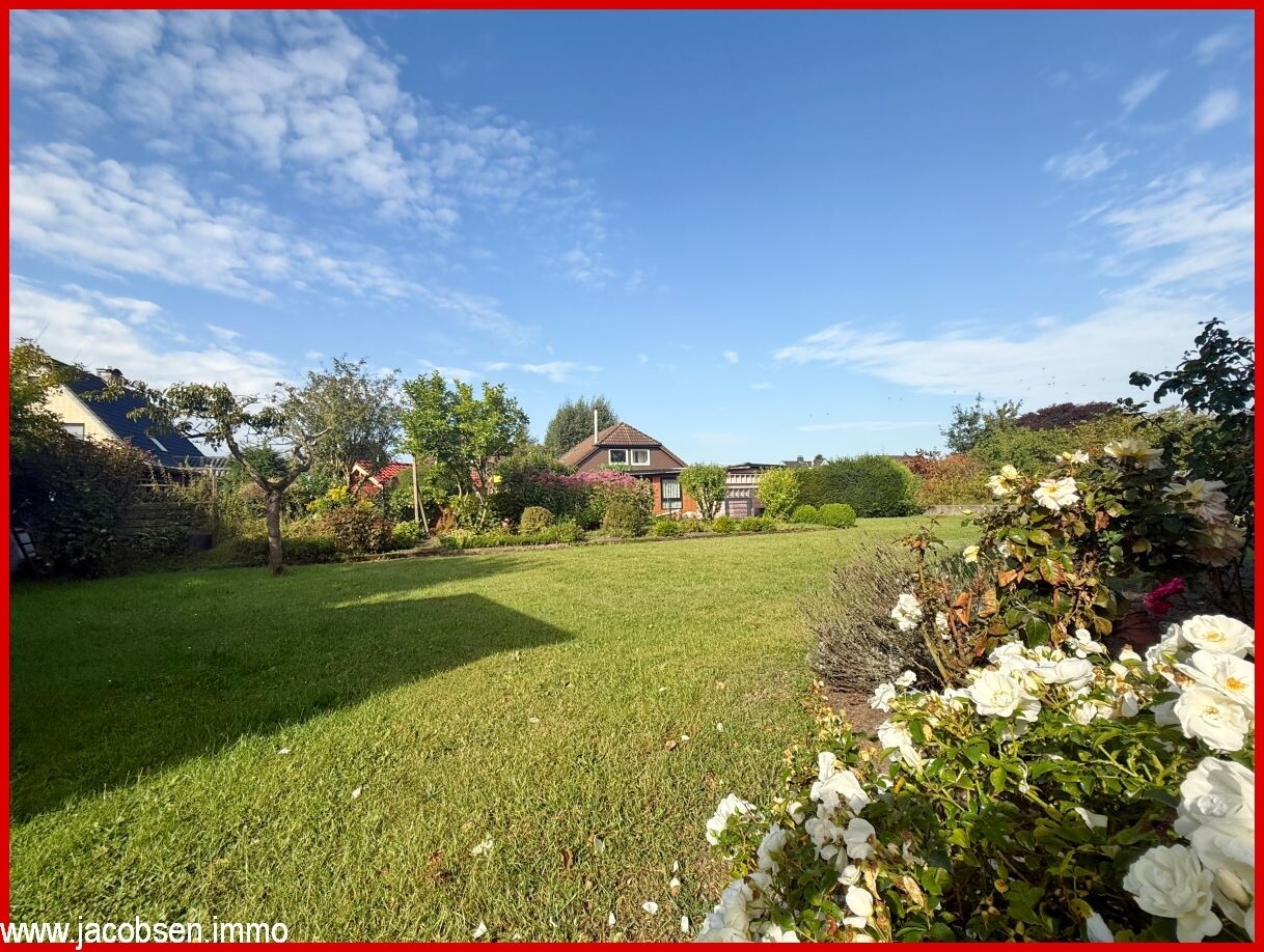 Blick in den Garten