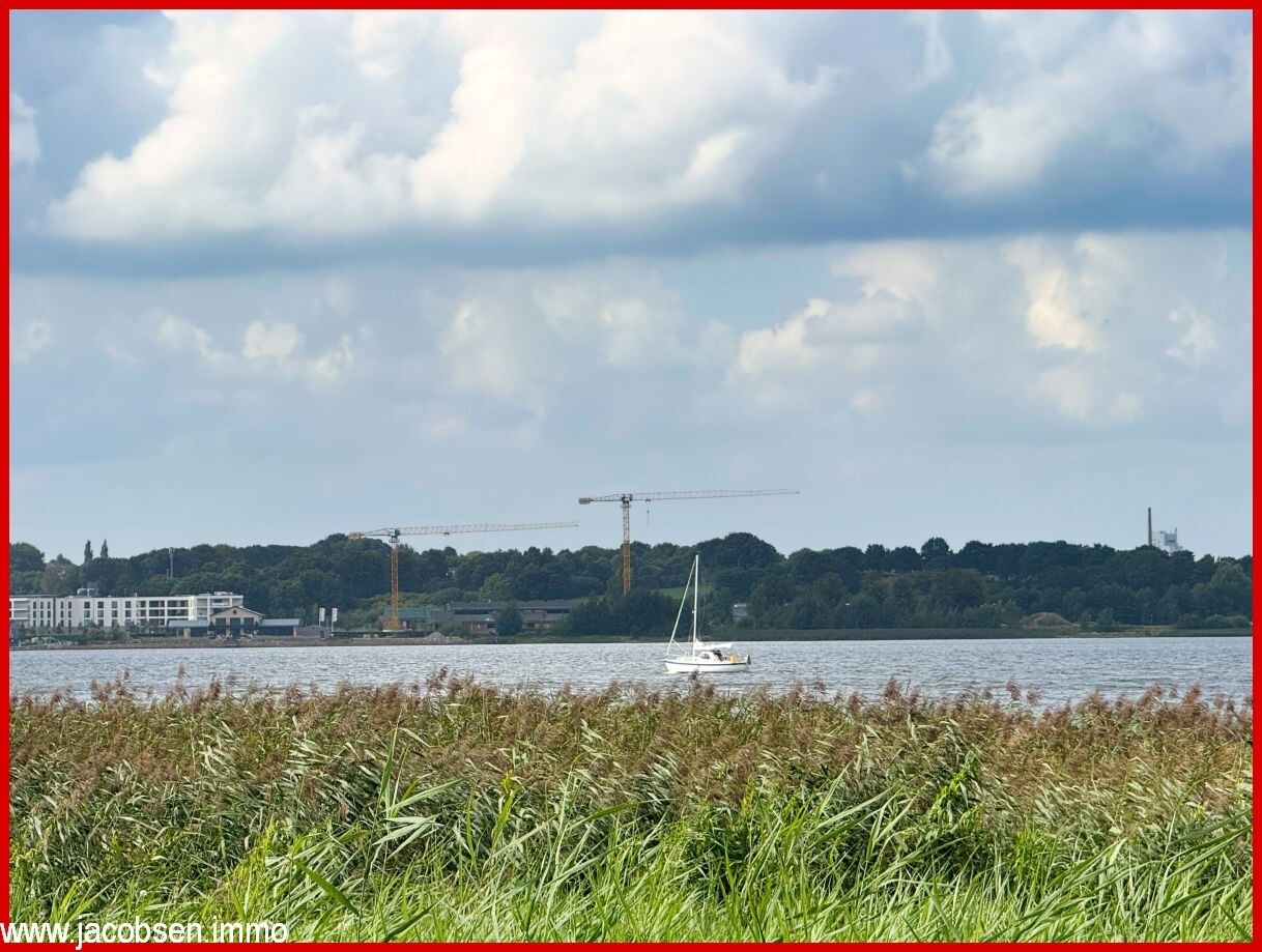 Blick über die Schlei nach Schleswig
