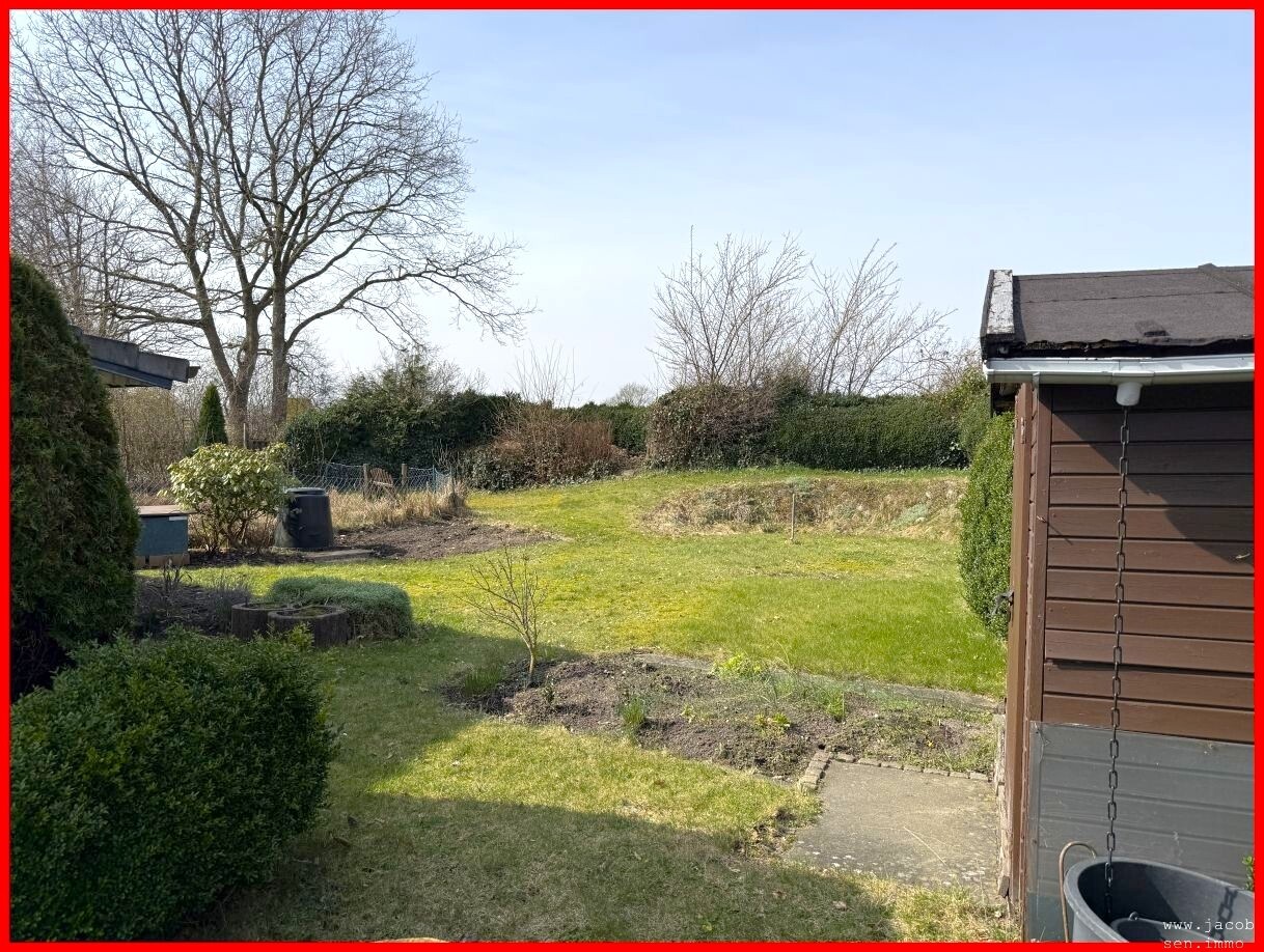 Blick in den Garten