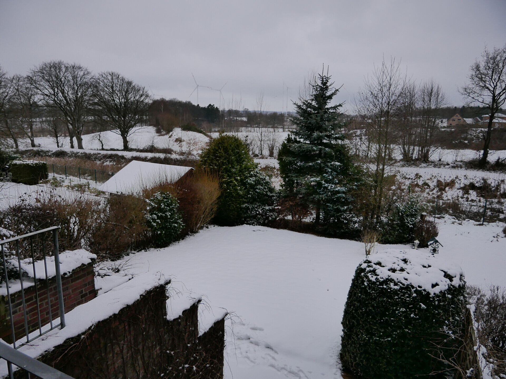 Ausblick Garten 